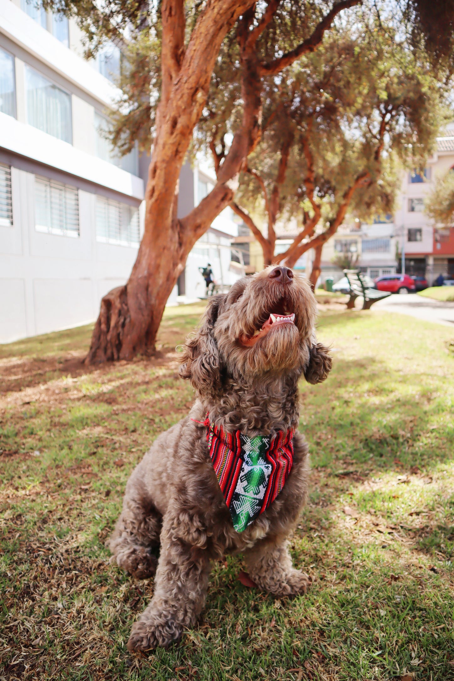 Sumak Pet Bandana Mila